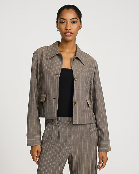 Pinstripe Collared Tailored Jacket | Express
