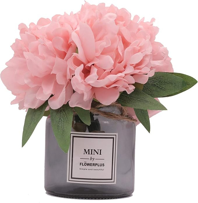 MISBEST | Amazon (US)