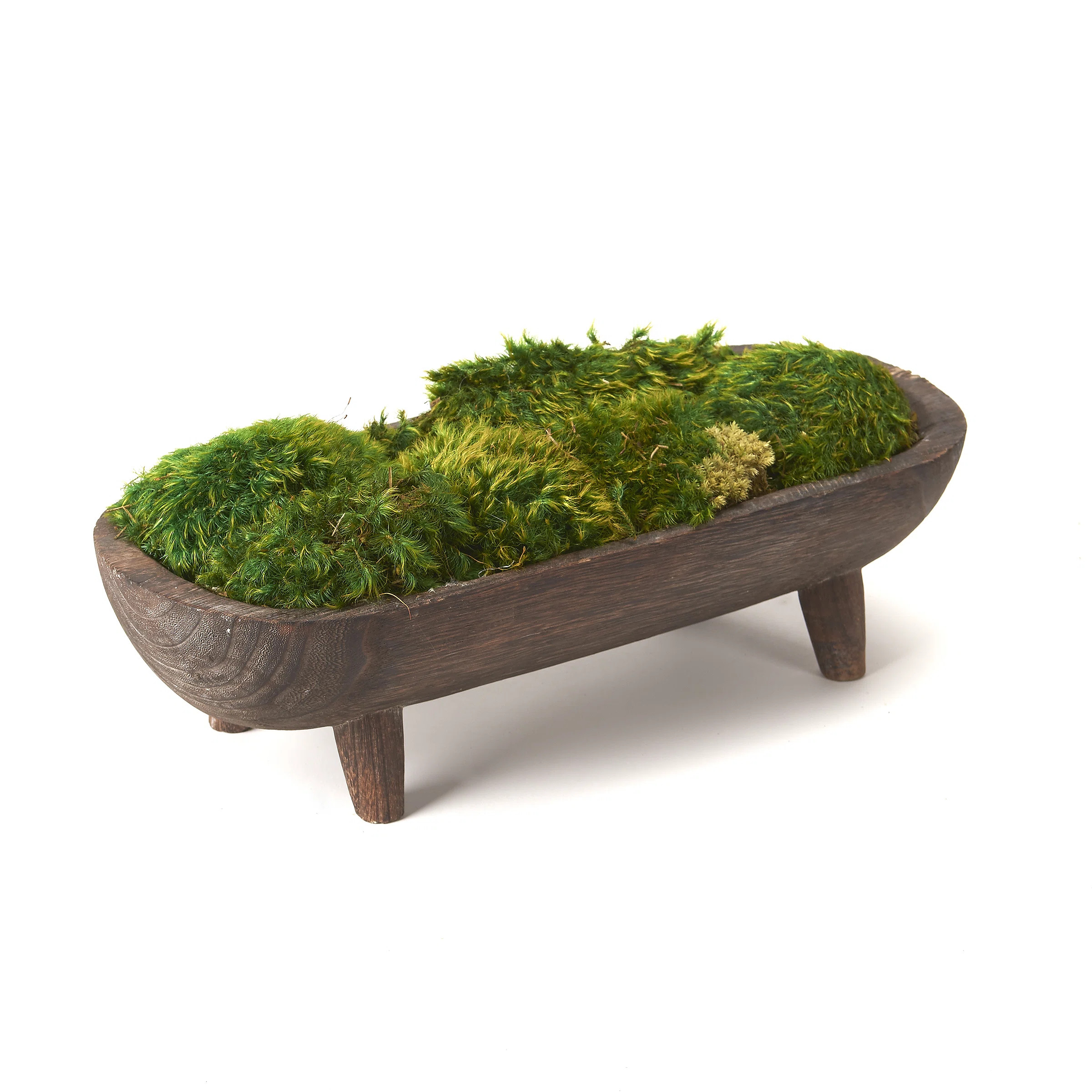 6'' Preserved Mood Moss Plant in Solid Wood Planter | Wayfair North America