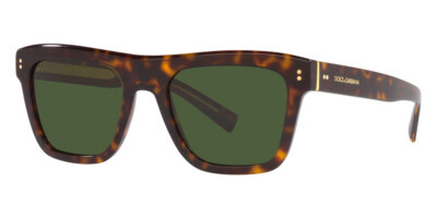 Dolce & Gabbana Men's 52mm Havana Sunglasses DG4420-502-71-52  | eBay | eBay US