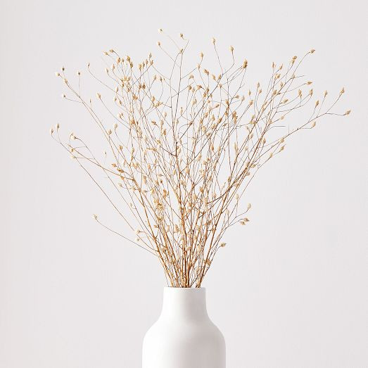 Dried Flax Bunch | West Elm (US)