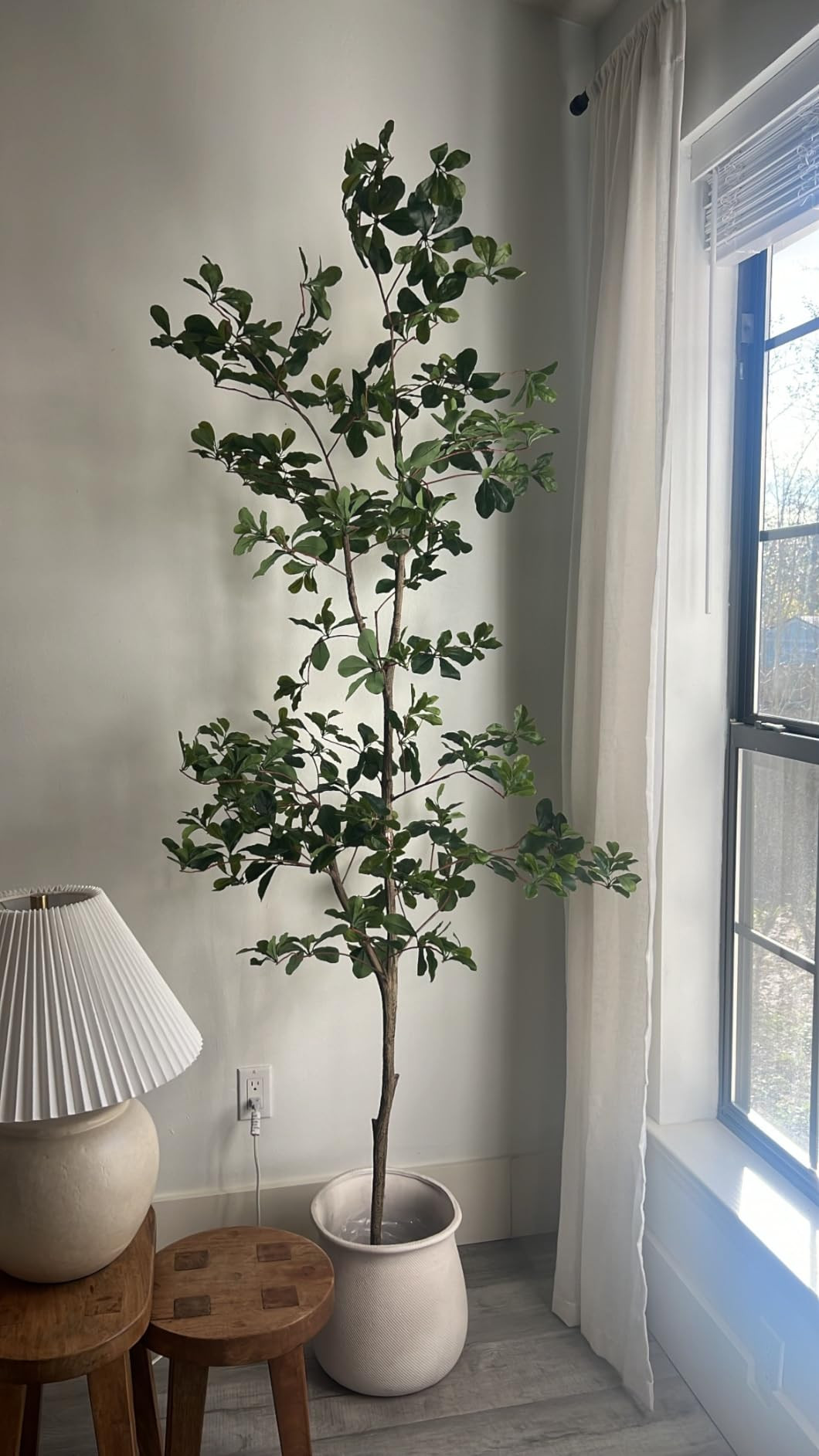 Bellacat Faux Black Olive Tree 7ft, Tall Faux Trees Indoor with Natural Trunk and Realistic Leave... | Amazon (US)