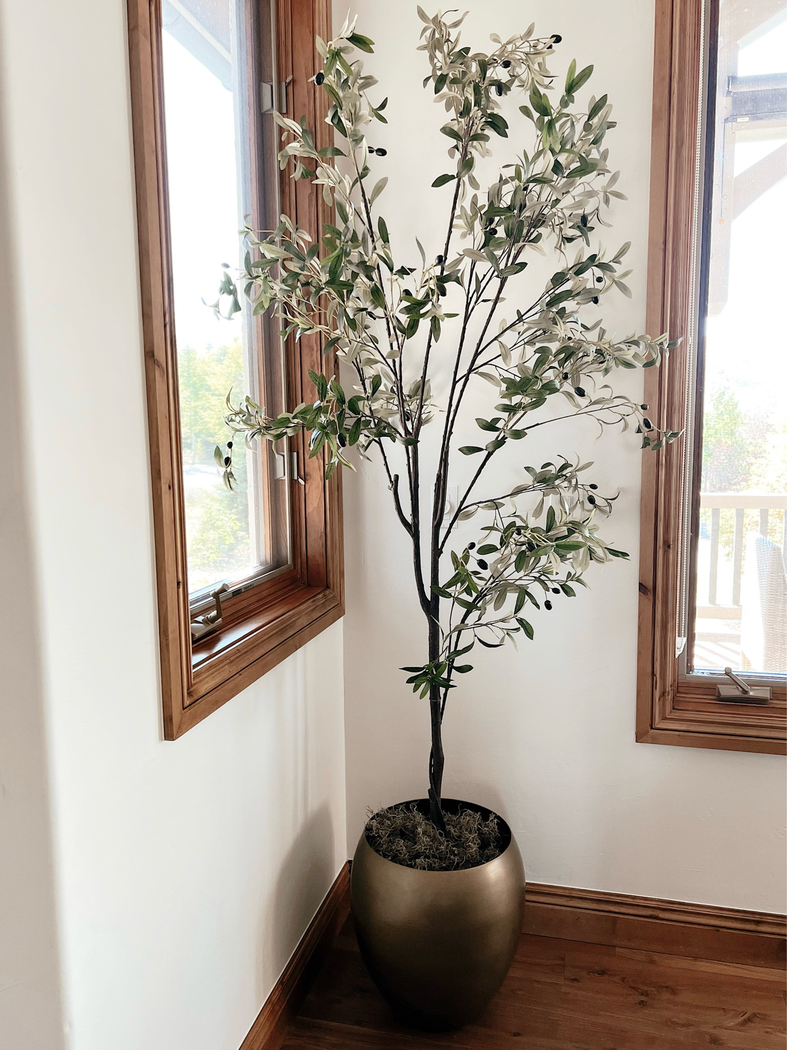 Amazon artificial olive tree on SALE 
Under $100

#LTKhome #LTKfindsunder100 #LTKsalealert