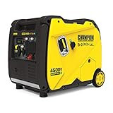 Champion Power Equipment 200988 4500-Watt Dual Fuel RV Ready Portable Inverter Generator, Electric S | Amazon (US)
