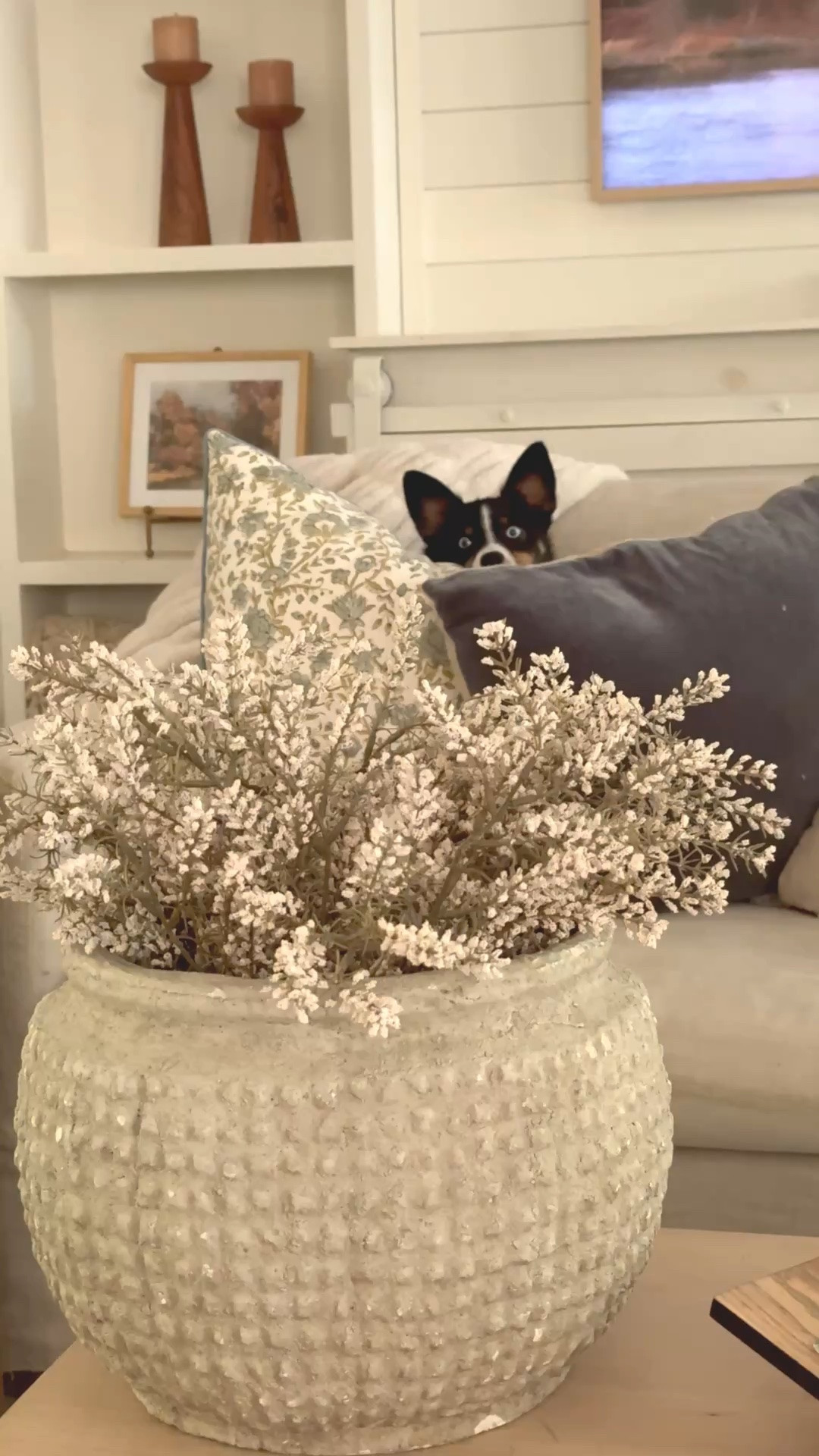 The best soft fall stems !!

#LTKvlog #LTKSeasonal #LTKHome