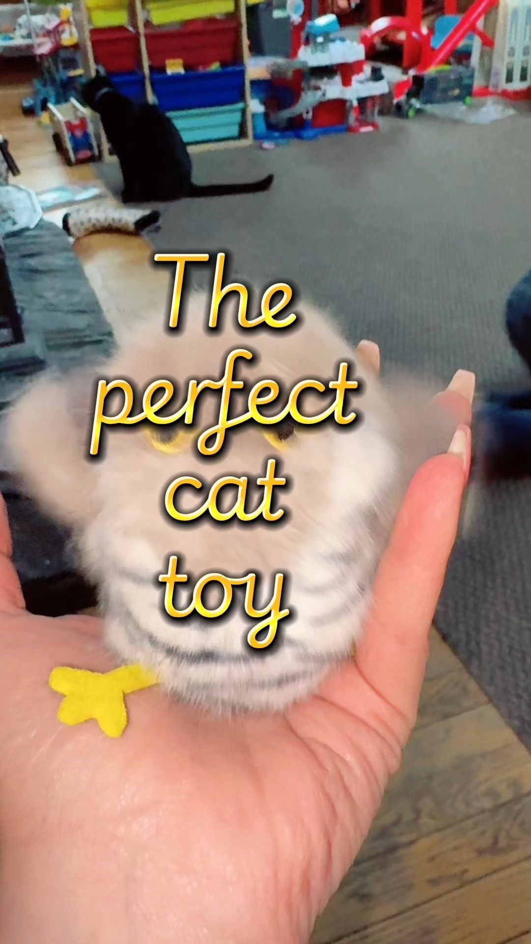 My kitty loves this chubby chirping bird!! He thinks it’s real and plays with it for awhile. Perfect for an indoor cat. #cats #cattoy 

#LTKdayinmylife #LTKSaleAlert #LTKmomlife