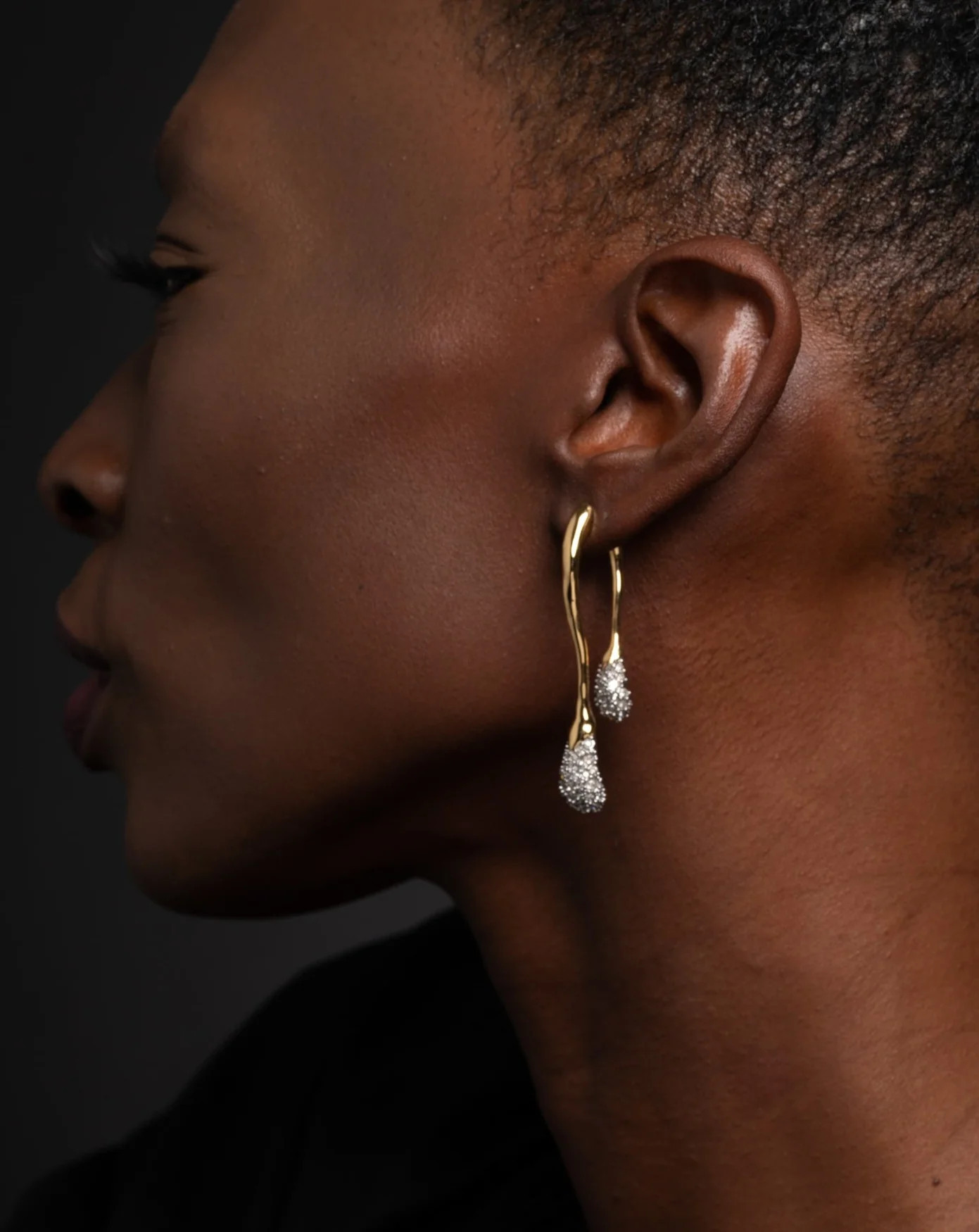 Solanales Crystal Front Back Double Drop Earring- Gold | Alexis Bittar