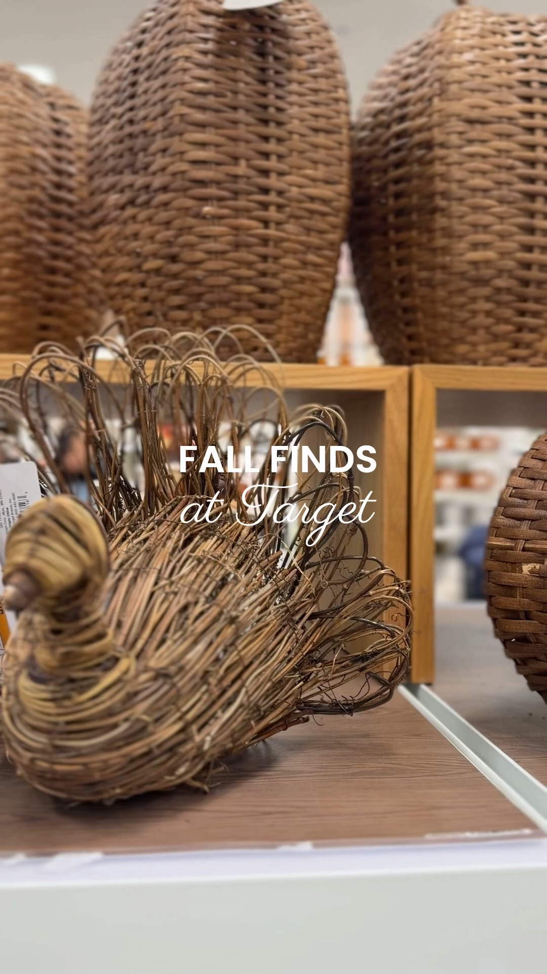 Everything fall from Target!

Woven pumpkins
Pumpkins candles
Wicker turkey

#LTKSeasonal #LTKHome