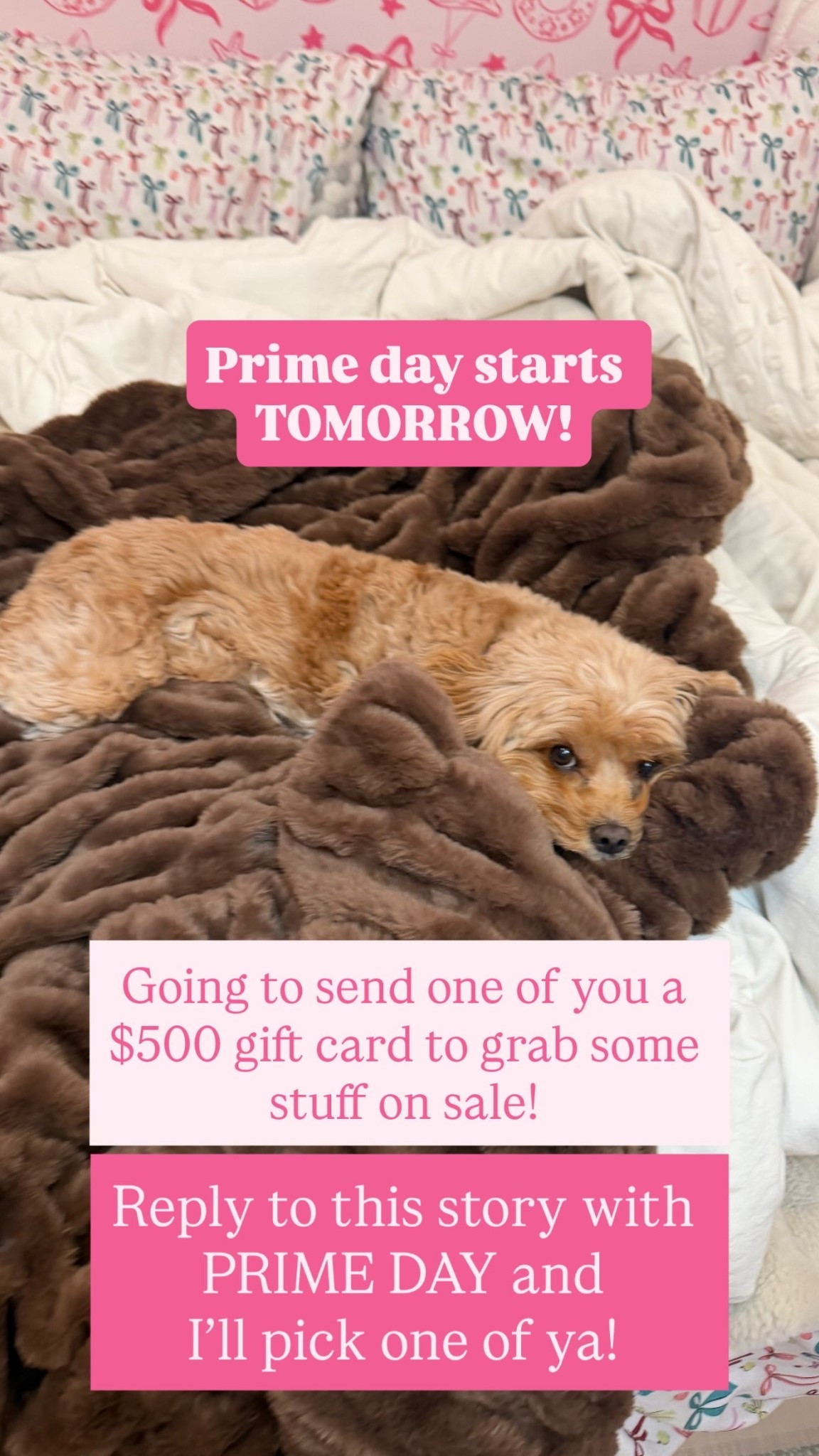 Prime day starts TOMORROW! Going to send one of you a $500 gift card to grab some stuff on sale! Reply to this story with PRIME DAY and 
I’ll pick one of ya!
