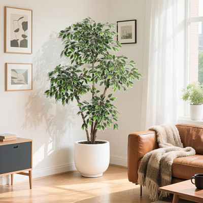 6FT Artificial Ficus Tree - White Planter, Natural Trunks, White-Edged Leaves - Ideal for Indoor Decor | Target