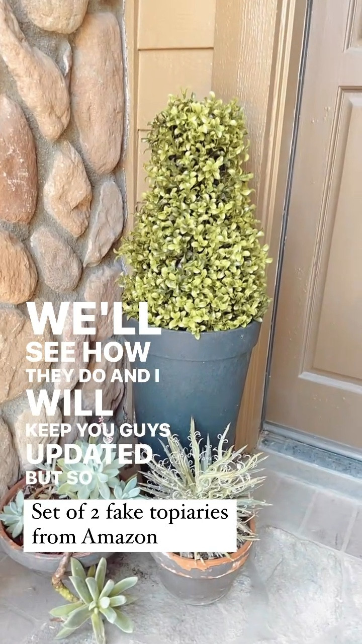 Loving this set of fake topiaries from Amazon! 👏🏻 Perfect for either side of my front door! 

#porchdecor #frontdoor #holidaydecor #faketree #fakeplant

#LTKHome #LTKFindsUnder100 #LTKVideo