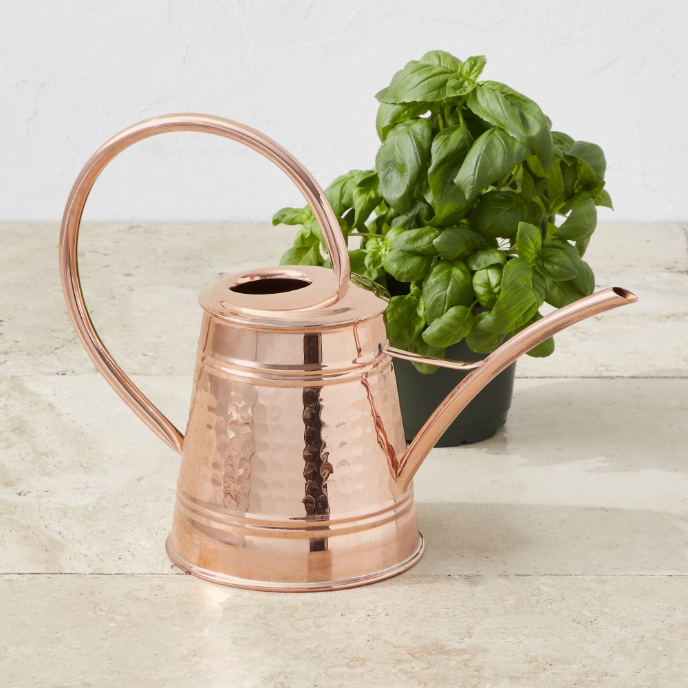 Williams Sonoma Tall Copper Watering Can | Williams-Sonoma