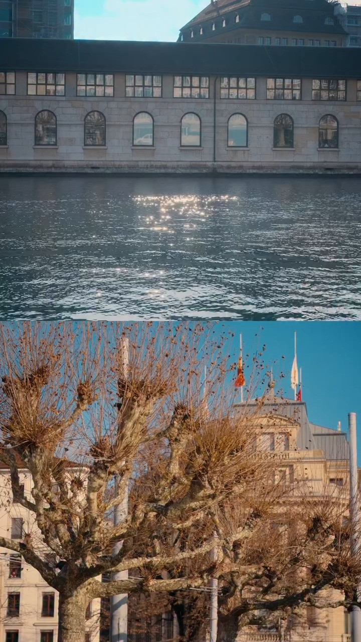 DeMellie The Hudson Burgundy Suede & Burgundy Smooth, Demellier London ,De Mellier , Karen Millen UK Mongolian Shearling Short Coat, Karen Millen UK Compact Stretch Essential Tailored Wide Leg Trouser, Miu Miu UK Crimson Patent Leather Slingbacks With Buckles , A Bag A Life ,Winter bags, Winter accessories, Hand bags, Winter style bags ,Winter look ,Winter outfit  bags, Winter Outfit, Date night outfit, Date night, Street style, Work wear Outfit accessory, Winter Office hand bags, GRWM Outfit ,UK Fashion ,UK Women ,London lifestyle , Evening Outfit, Date night outfit, Date night,  Holiday style ,Holiday outfit ,Outfit Inspo ,  Style inspiration, Holiday season style, Work wear Outfit, Office wear outfit

 

 #LTKuk #LTKwinter #LTKdatenight