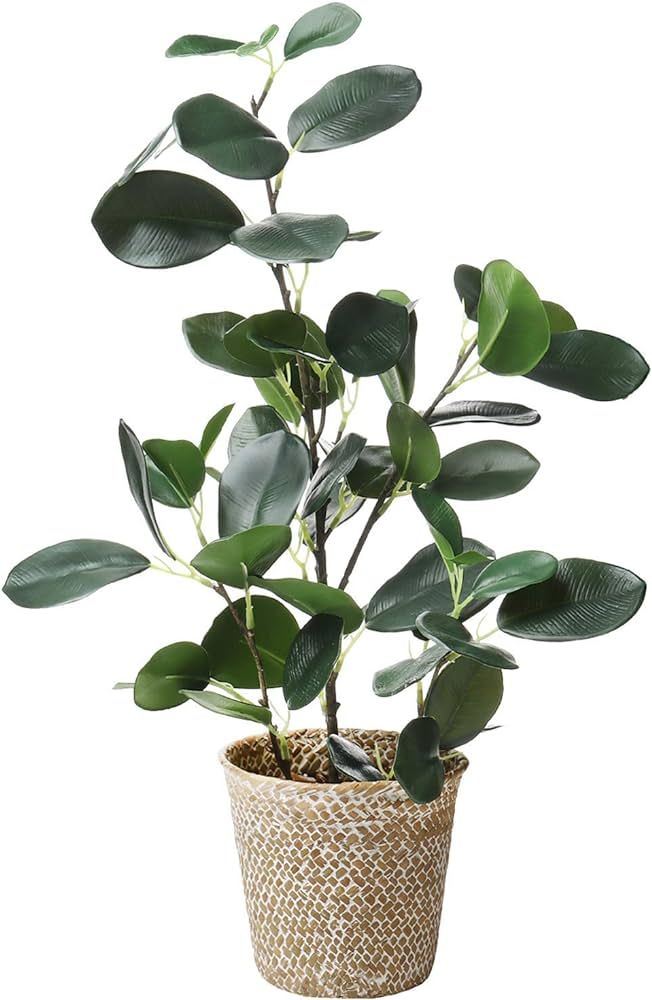 SAROSORA Artificial Ficus Tree Fake Plants in Weaved Pot 20" Height for Living Room Decor Indoor ... | Amazon (CA)