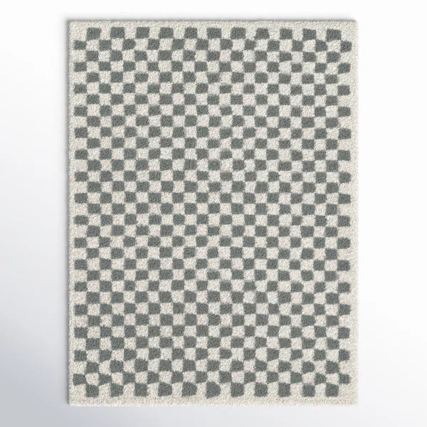 Walker Checkered Sage/Cream Shag Area Rug | AllModern