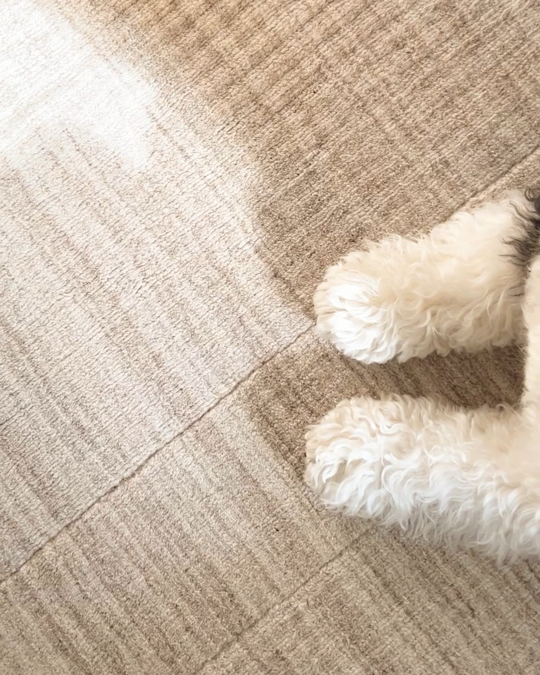 I love our neutral wool-blend rug from @Rugs USA This is the color beige for reference. ☁️🤎

Neutral area rug, beige rug, living room rug#LTKStyleTip 

#LTKSaleAlert #LTKHome