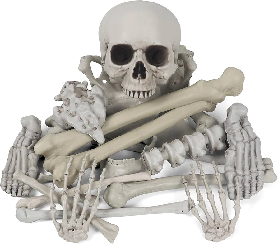 MOKRY PARTY Bag of Bones Halloween Life Size Skeleton Skull for Decoration and Spooky Graveyard 2... | Amazon (US)