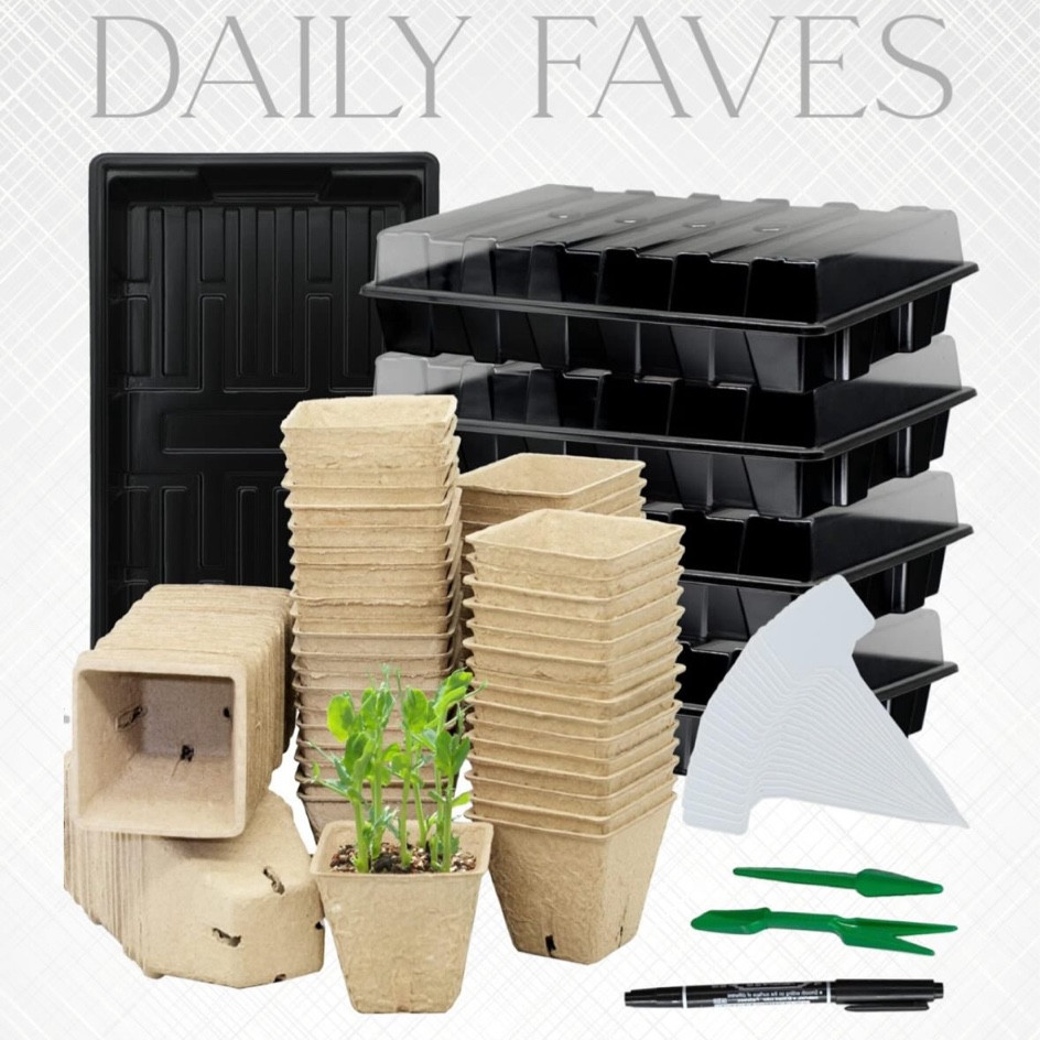 Seed starting kits!

#LTKkids #LTKfamily