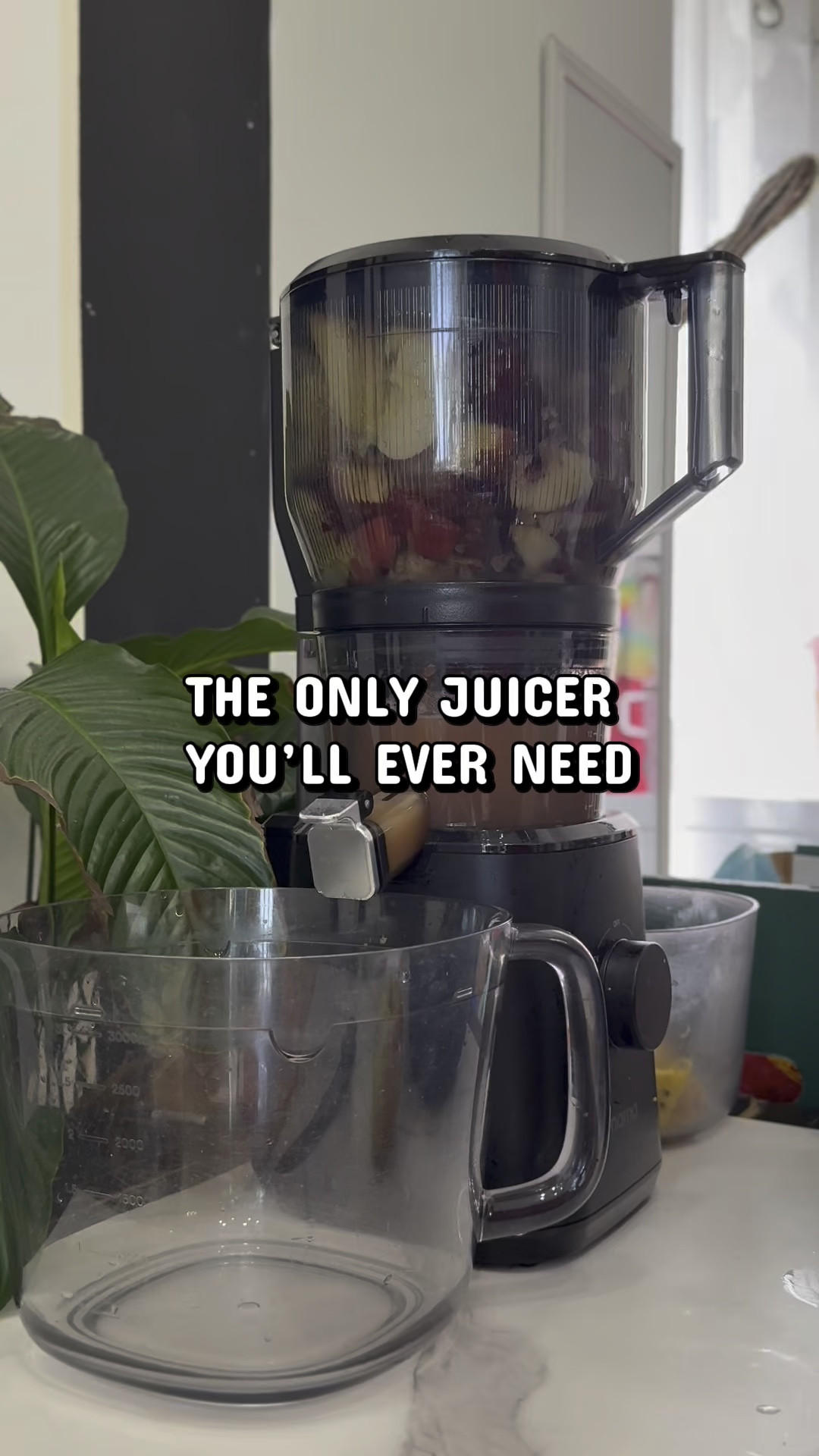 This Mother’s Day, give mom something that actually upgrades her daily routine. The J2 Cold Pressed Juicer is hands down one of the best investments for her health, her glow, and her overall lifestyle.

Shop the J2 Cold Pressed Juicer now on my LTK.

#ShoppingWithPriiincesss #MothersDayGiftGuide #NamaJ2Juicer #JuicerLife #HealthyMomLife #WellnessLifestyle #JuicingRoutine #MomFavorites #SelfCareRoutine #HealthyHabits #DailyWellness #GlowUpJourney #LifestyleEssentials #AtlantaMom #Atlantamom #Atlantabloggers #Atlantablogger #AtlantaCreator #Atlantacontentcreators #Atlantacontentcreator

#LTKHome #LTKfoodie #LTKMothersDay