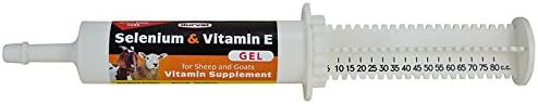 Amazon.com : DURVET / PHARMAC 2250319 Lamb & Kids - Selenium & Vitamin E Oral Gel : Sports & Outd... | Amazon (US)