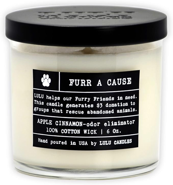 Lulu Candles | Apple Cinnamon | Proudly Made in The USA | Highly Scented & Long Lasting | Jar Candle | Amazon (US)
