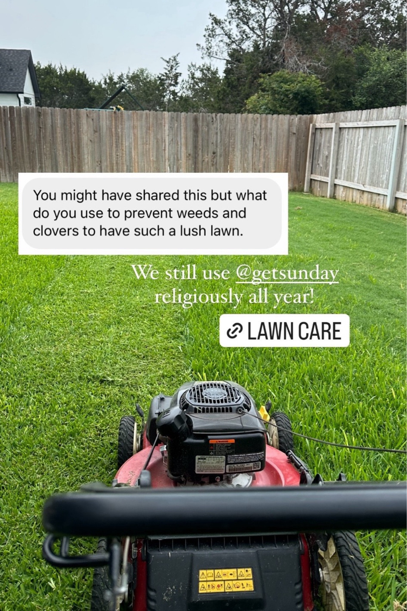 How we get our lawn lush and in shape for fun summer days with the dogs! 

We have used Sunday lawn care for years now and our lawn has never looked better! It is so lush and green! ALL of their products are pet safe which is why we love them so much. 

I linked the products we use! I also linked a product we use for weeds and to kill mosquitoes. ALL pet safe. 

And while you’re at it grab 2-3 of the Captivator fly traps!! They work AMAZING.  

#walmartpartner #walmartpet @walmart

Lawn care, safe lawn care, healthy lawn, green yard, pet safe products 

#LTKHome #LTKSeasonal