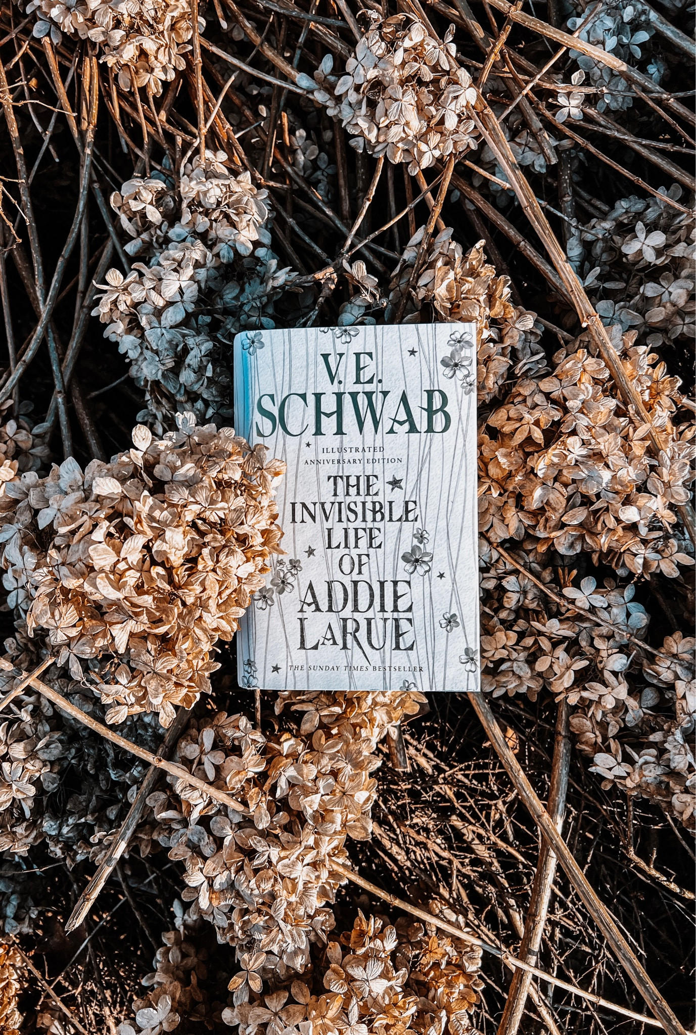 A Life No One Will Remember. A Story You Will Never Forget.

France, 1714: in a moment of desperation, a young woman makes a Faustian bargain to live forever—and is cursed to be forgotten by everyone she meets.

Thus begins the extraordinary life of Addie LaRue, and a dazzling adventure that will play out across centuries and continents, across history and art, as a young woman learns how far she will go to leave her mark on the world.

But everything changes when, after nearly 300 years, Addie stumbles across a young man in a hidden bookstore and he remembers her name.




#LTKeurope #LTKfindsunder50 #LTKU