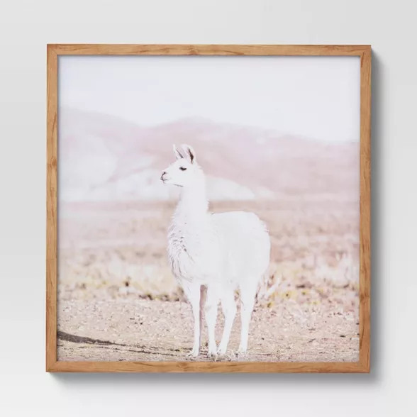 24" x 24" Llama Framed Wall Art Brown - Threshold™ | Target