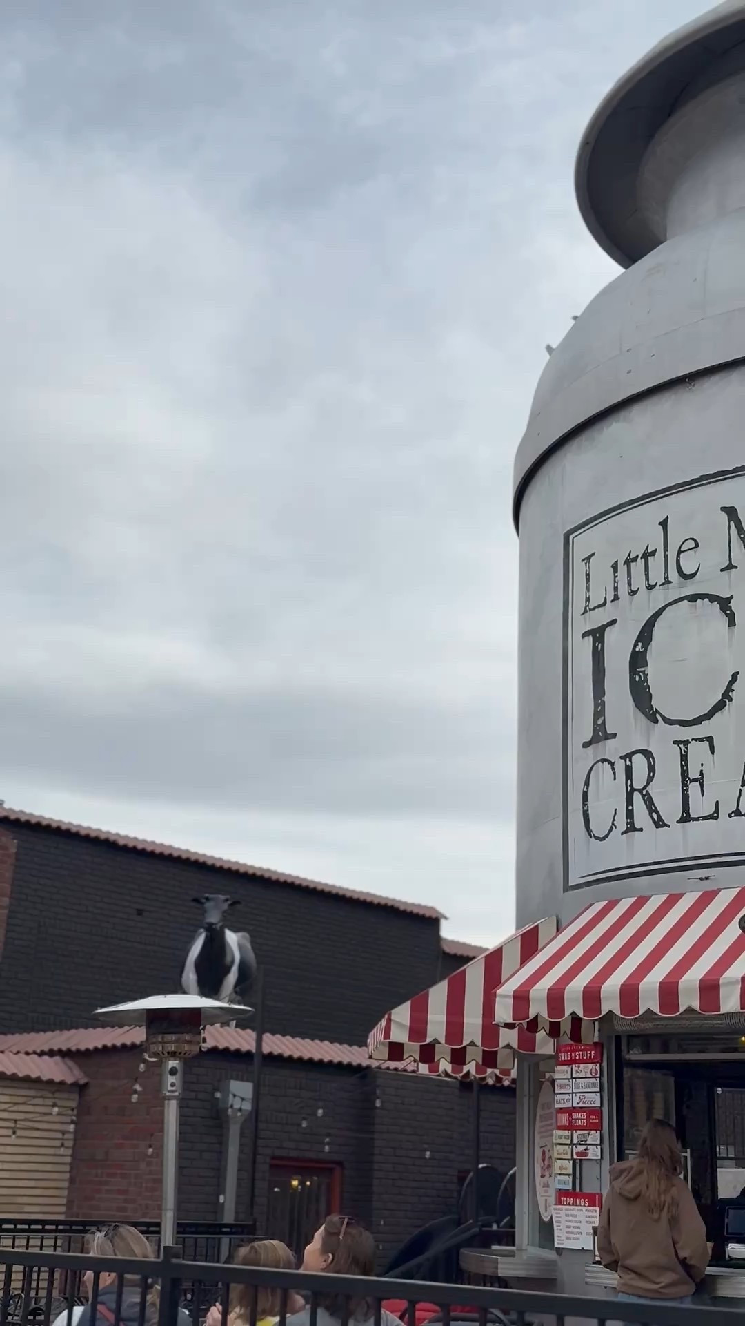 Denver Ice Cream - Little man