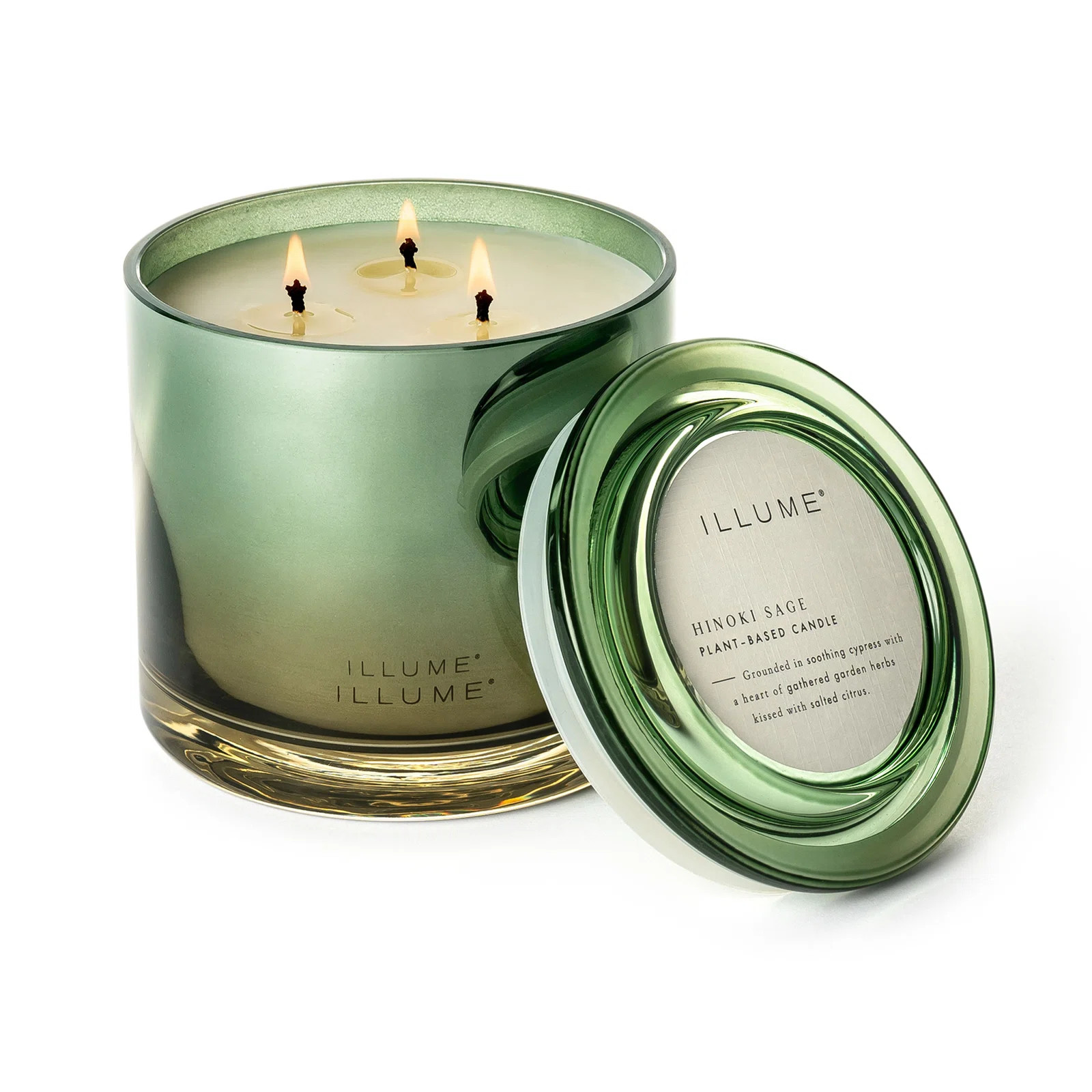 ILLUME Beautifully Done Baltic Glass Candle, Hinoki Sage | Birch Lane