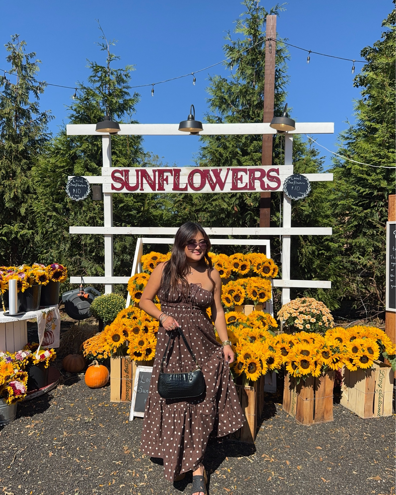 Brown polka dot dress 
Fall dress 

#LTKSeasonal #LTKPetite #LTKStyleTip