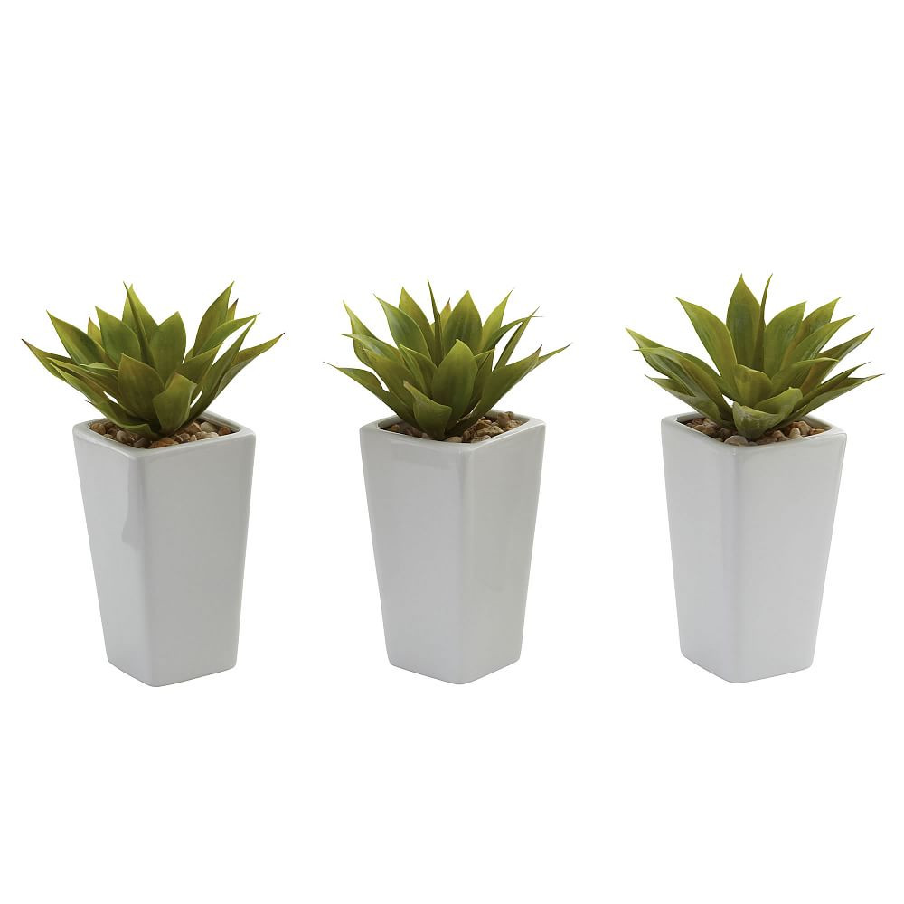 Mini Agave Faux Plants in Planter, Set of 3 | Pottery Barn Teen