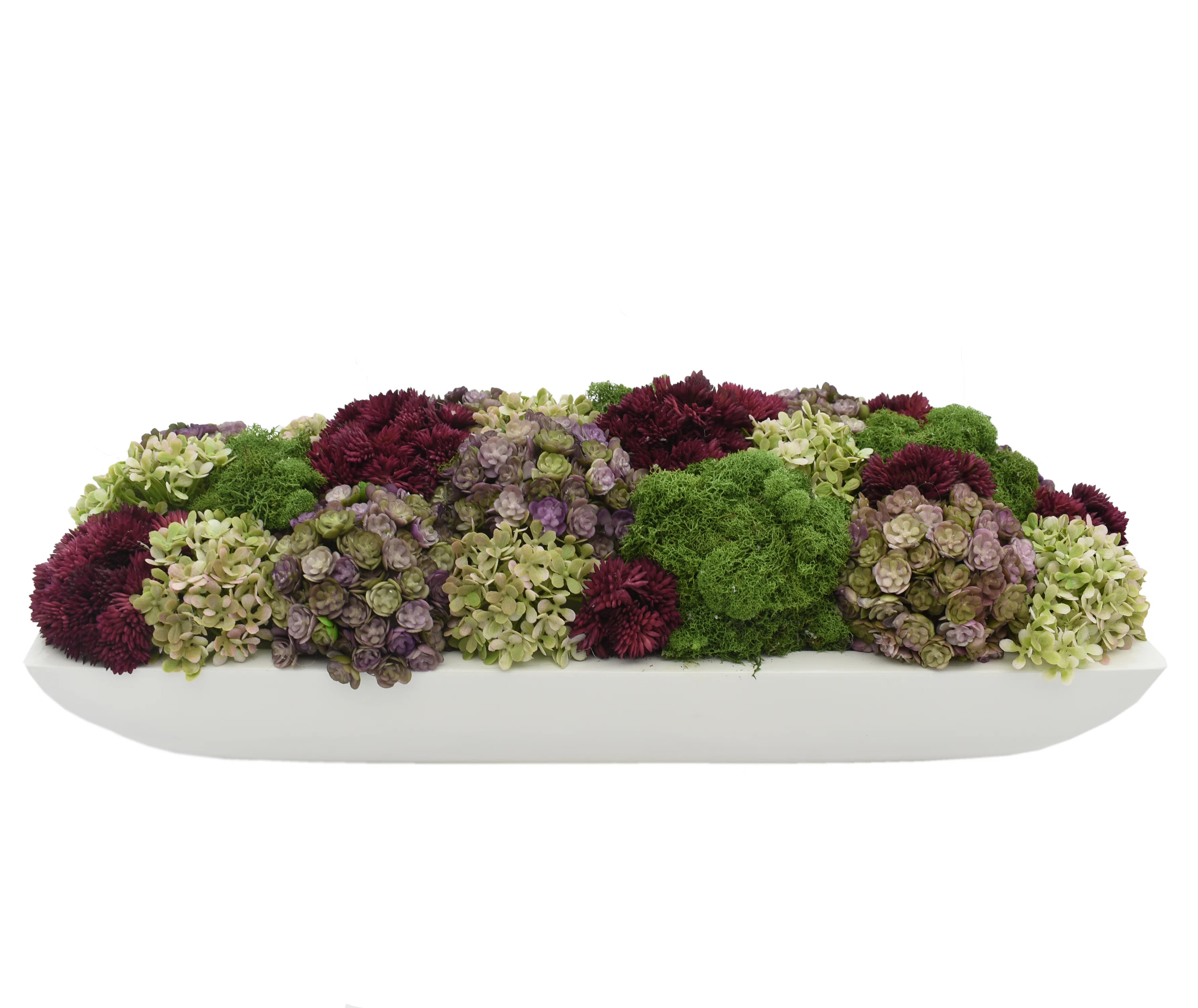 Multi Colored Assorted Sedum In Planter | Perigold