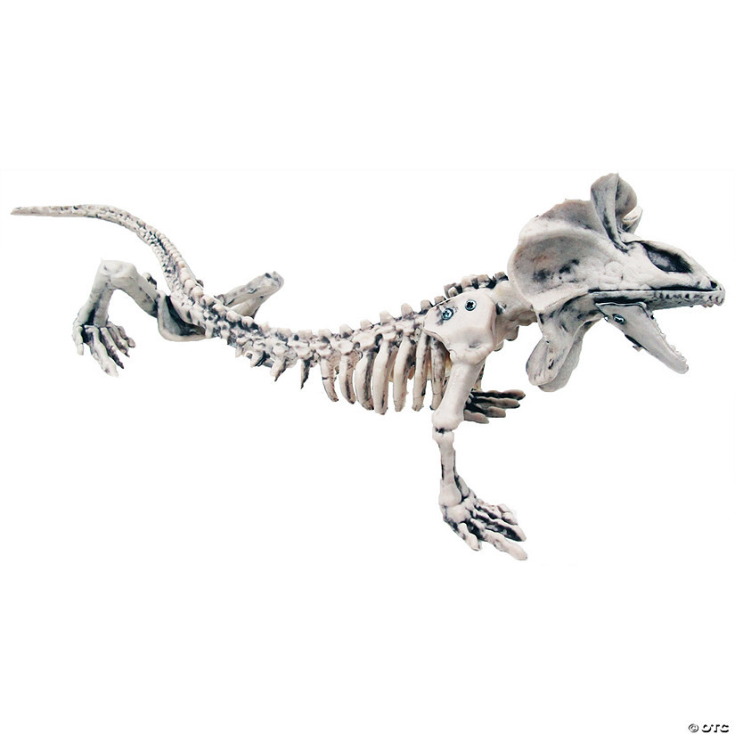 Lizard Skeleton Decoration | Oriental Trading Company