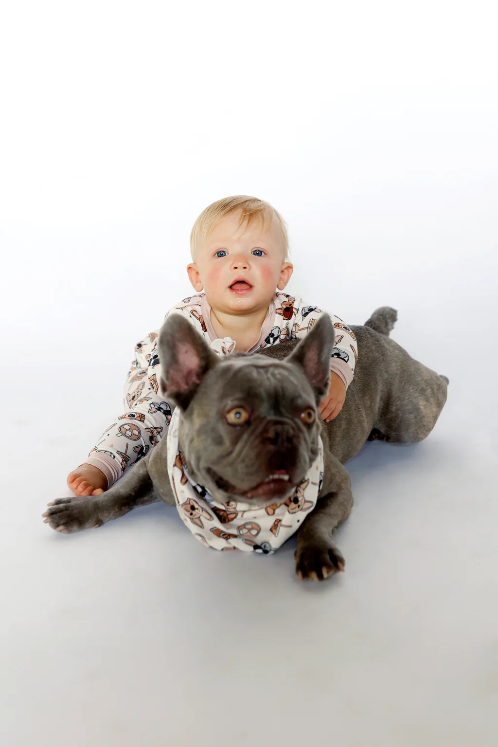 EXCLUSIVE PUP CUPS DREAM DOG BANDANA | Dream Big Little Co.