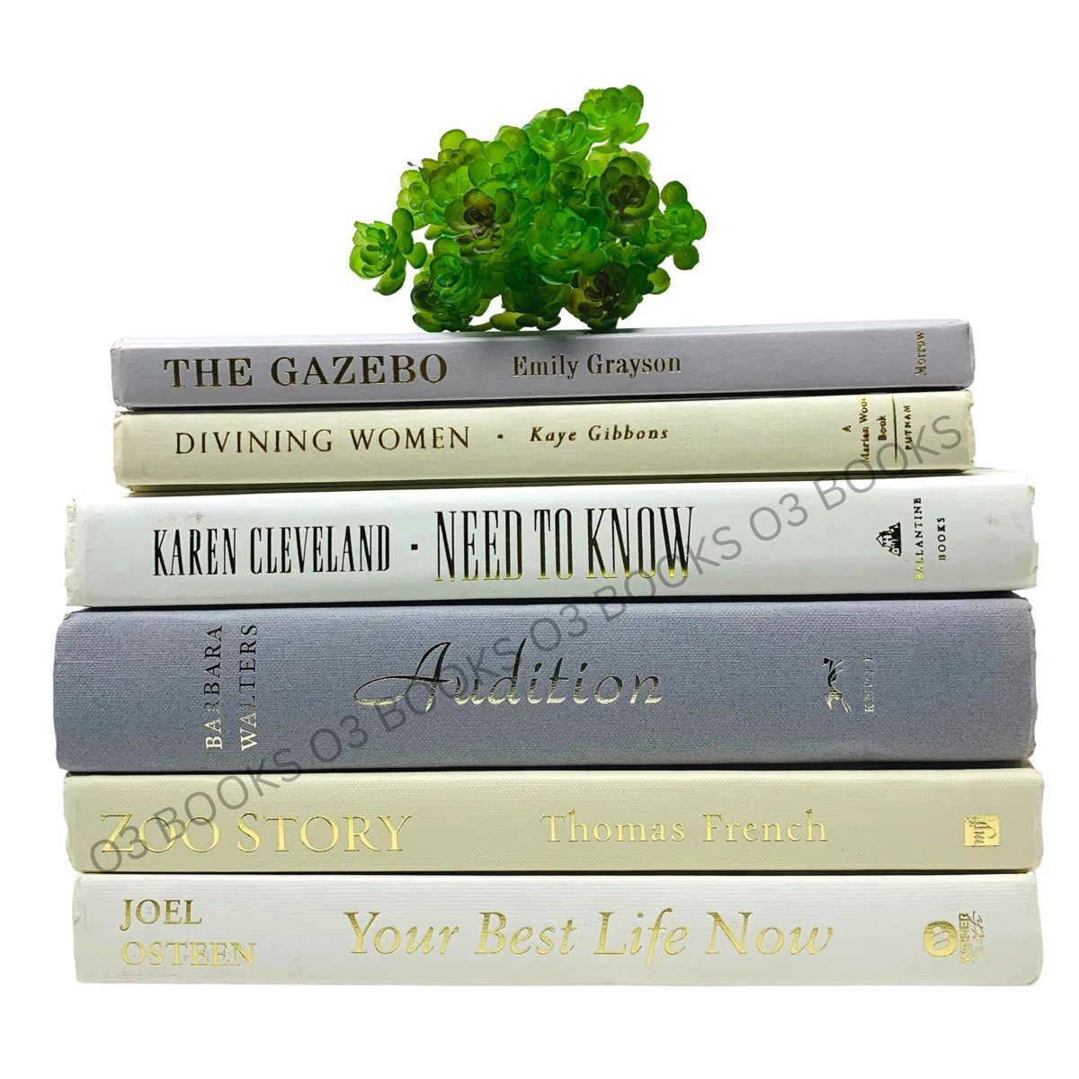 Gray Ivory White Decorative Books | Wayfair North America