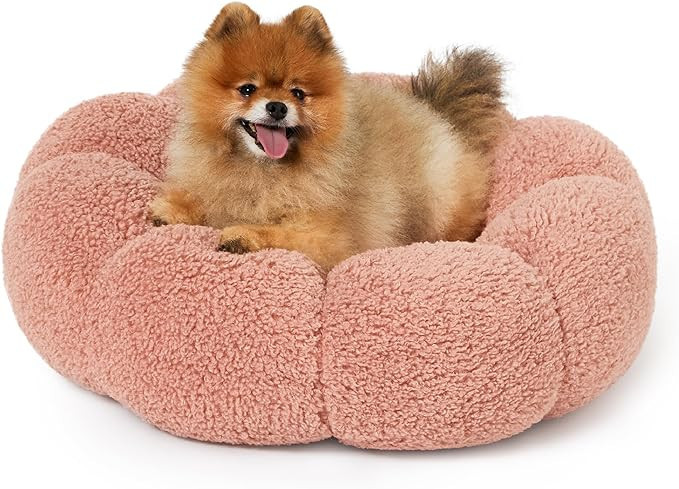 Lesure Calming Small Dog Bed - Flower Donut Round Fluffy Puppy Bed in Plush Teddy Sherpa, Non-Sli... | Amazon (US)