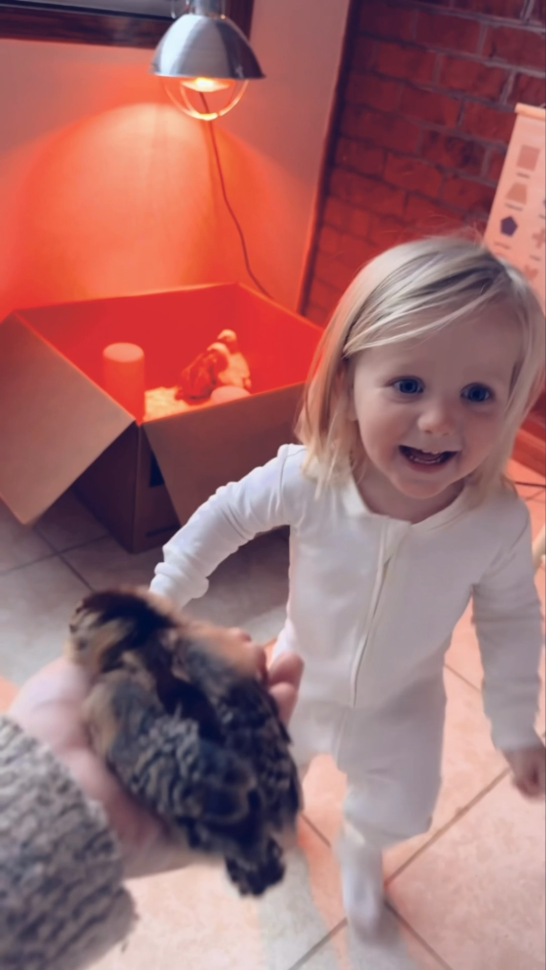 Convinced there’s just nothing sweeter than your babies 👶🏼 waking up on a rainy ☔️ morning to brand new baby chickies!!! 🐥🥰🐣 About to have some friends over this morning ☕️ - hope everyone has the sweetest day!!! 😍🫶🏽