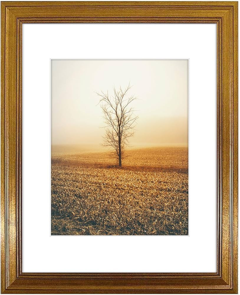 Golden State Art, 11x14 Photo Frame with White Mat for 8x10 Pictures & Real Glass, 1.25-Inch Wide... | Amazon (US)