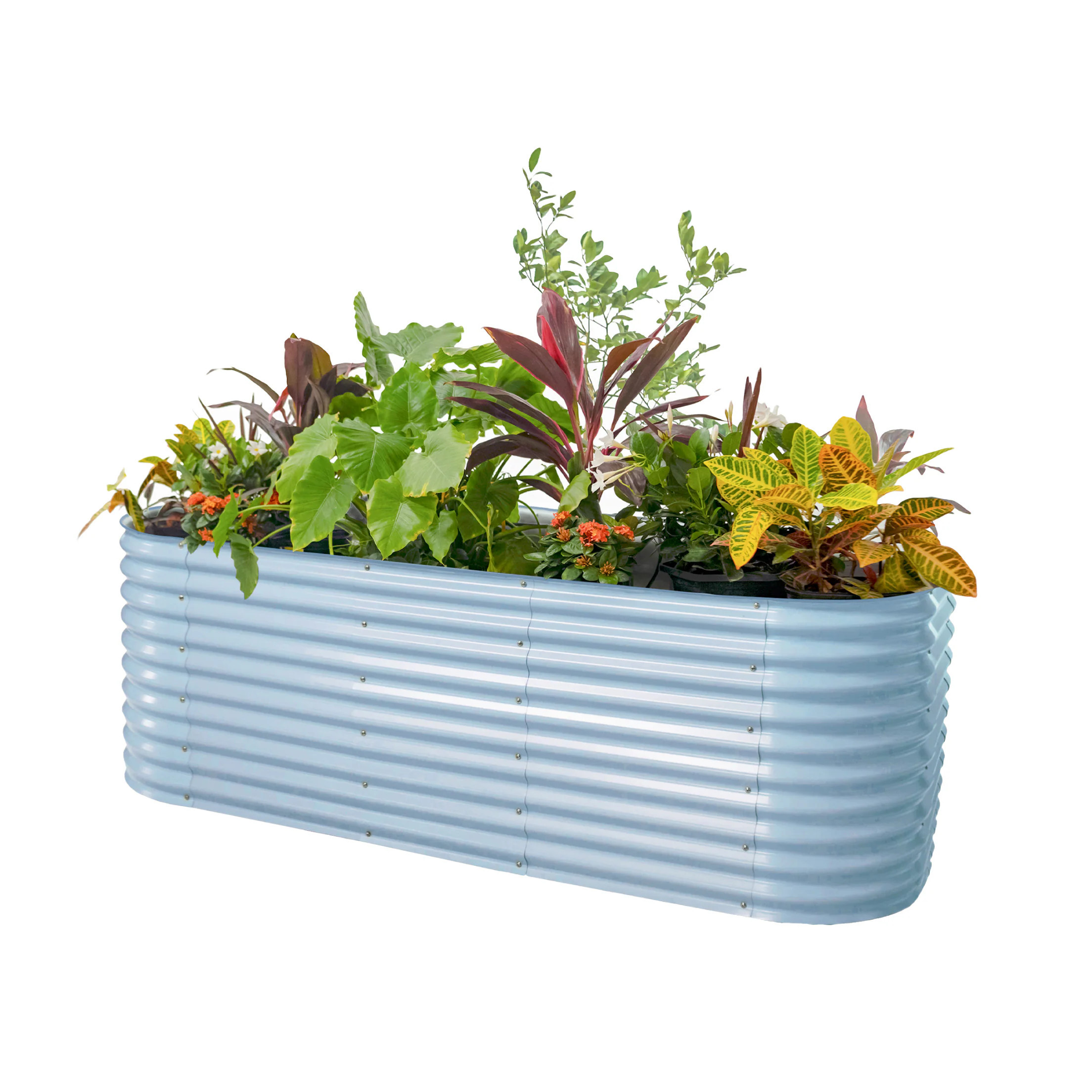 Vego Garden 85-cu ft 48-in W x 96-in L x 32-in H Sky Blue Galvanized Metal Raised Garden Bed | VB10N132SB | Lowe's