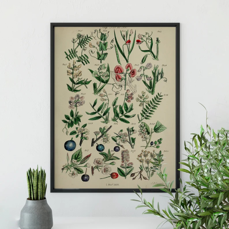Vintage Botanical Paintings Printable Vintage Floral Poster Digital Download Floral Print - Etsy | Etsy (US)