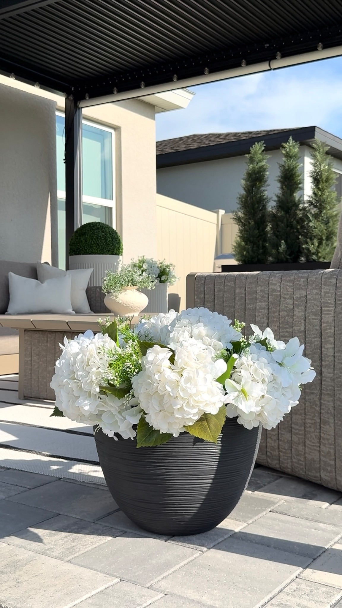 Mi fave planters⛅️🌞🌿