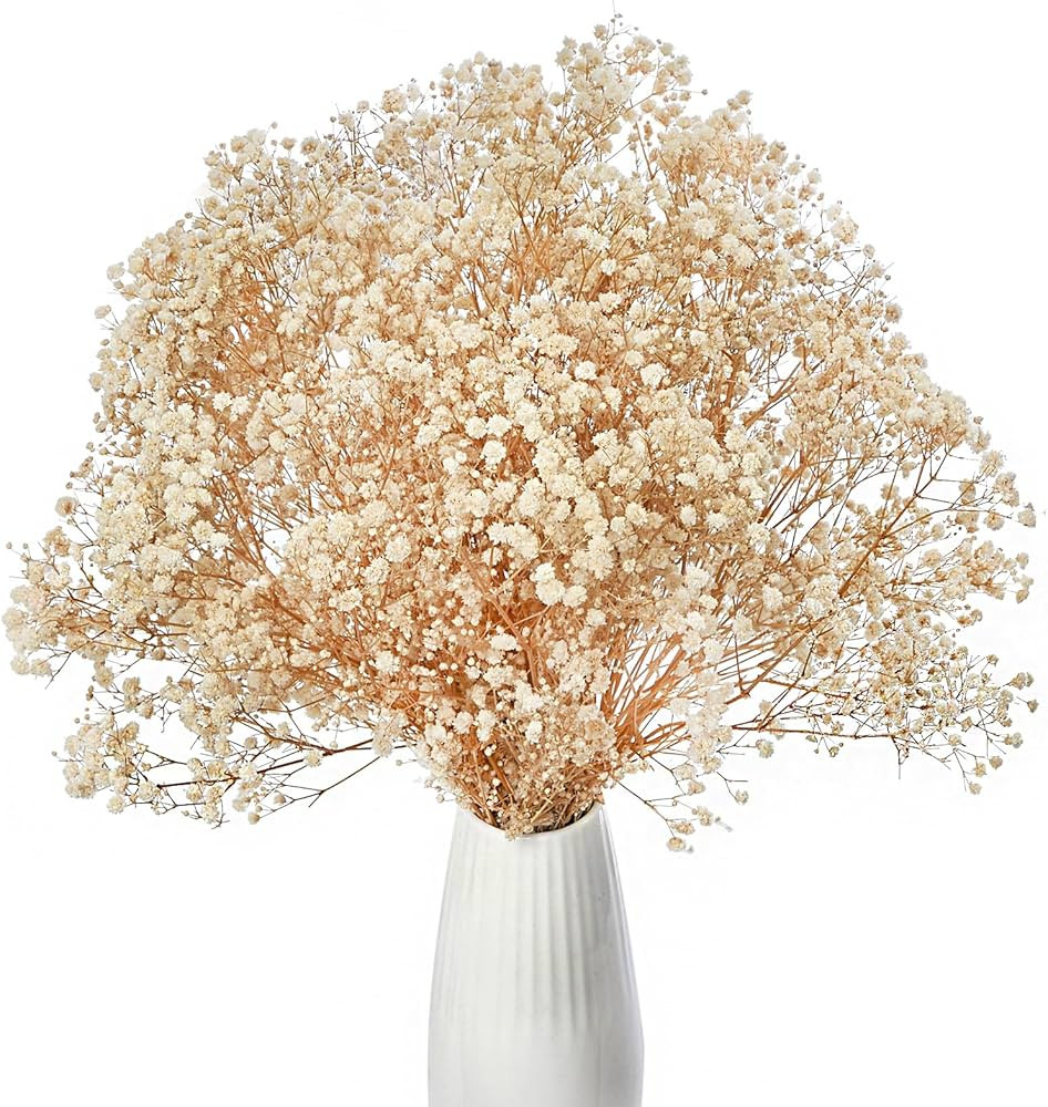 Dried Baby's Breath Flowers Ivory White, 17inch Dried Natural Flowers Babys Breath Bulk with 3000... | Amazon (US)