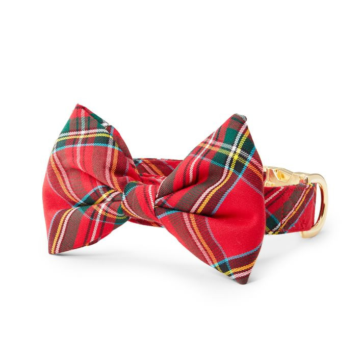 Foggy Dog Bow Tie Collar | Mark and Graham
