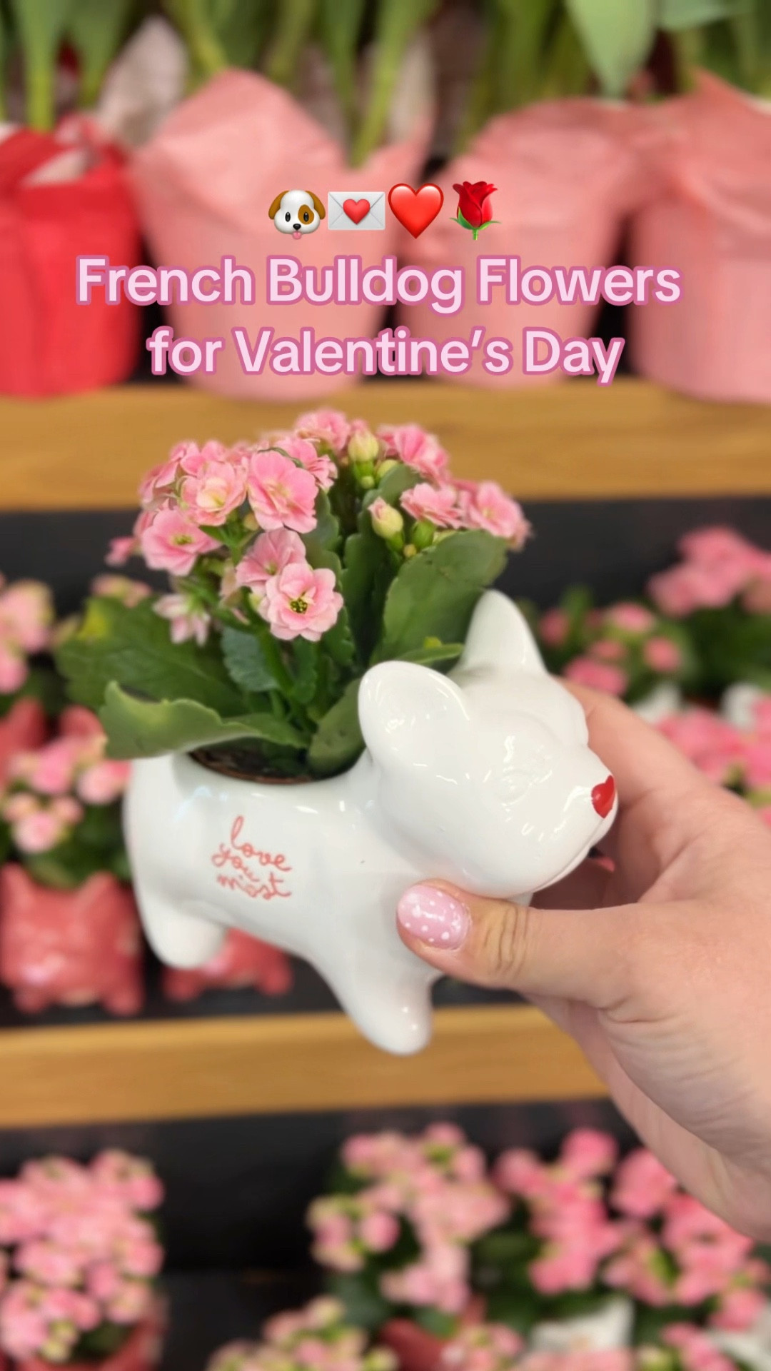 If you’re looking for cute Valentine’s Day decor or a Valentine’s Day gift idea - this is it! 🐶 French Bulldog figurines + 🌸 flowers = obsessed 🥹

#LTKSeasonal #LTKSaleAlert #LTKValentine
