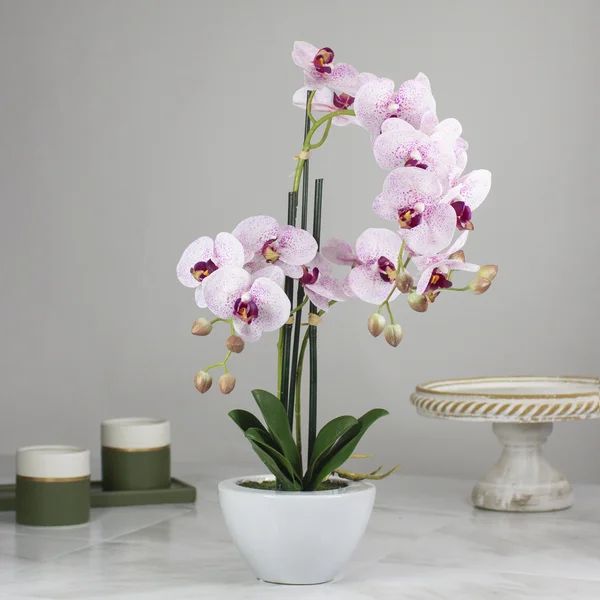 Artificial Orchids Floral Centerpieces in Pot | Wayfair North America