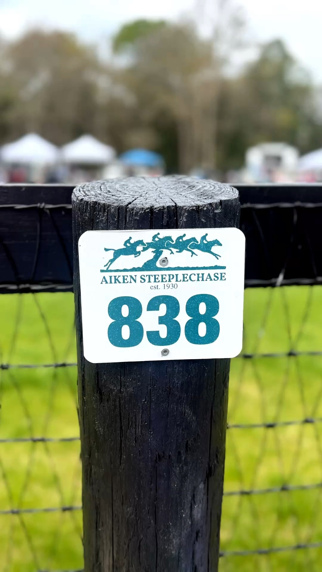 Steeplechase is ALL about the food!!! 🐎🐎

We also had BBQ catered, but I always forget to take photos of the BBQ. We had pulled pork, baby back ribs, beans, and Mac & cheese!

Everything was delicious!!!! 😋 

#LTKSeasonal #LTKfoodie #LTKdayinmylife