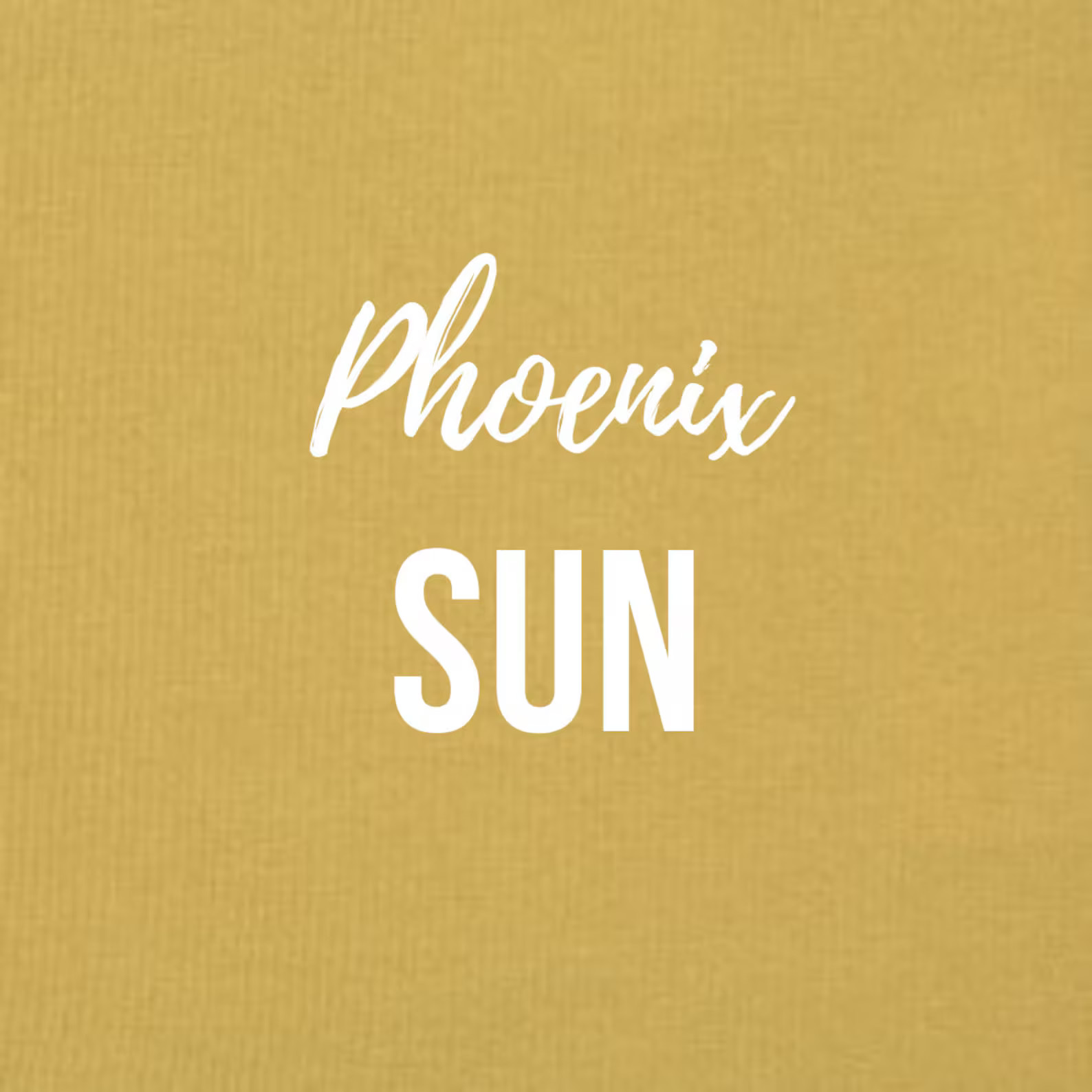 Best Choice Egg Chair Replacement Covers Only - Etsy | Etsy (US)