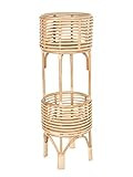 KOUBOO Rattan Indoor Two-Tier Plant Stand, Natural Planter, Large, Brown | Amazon (US)