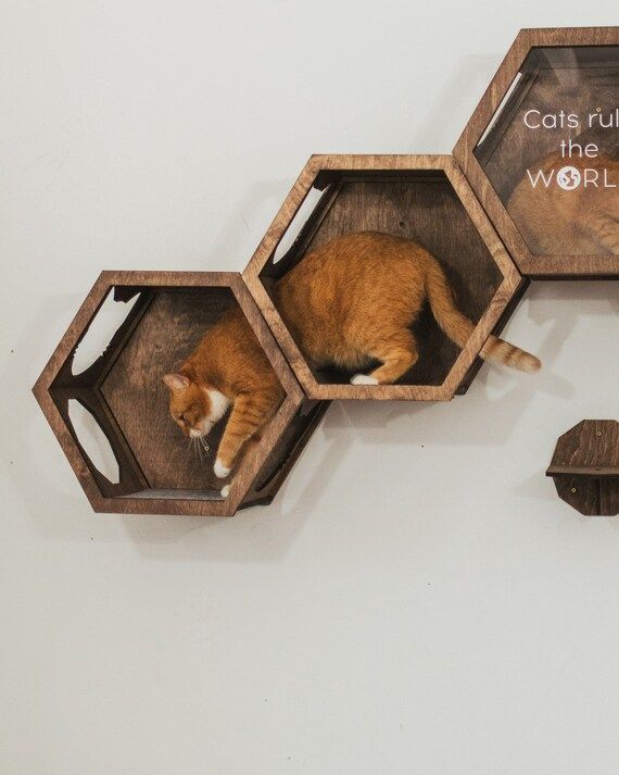 Cat Wall Furniture Cat Shelves Cat Hexagon Shelf Cat Lover | Etsy | Etsy (US)